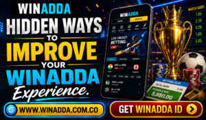 Read more about the article Hidden Ways to Improve Your Winadda Experience